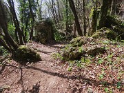 70 Il bosco termina con bei roccioni